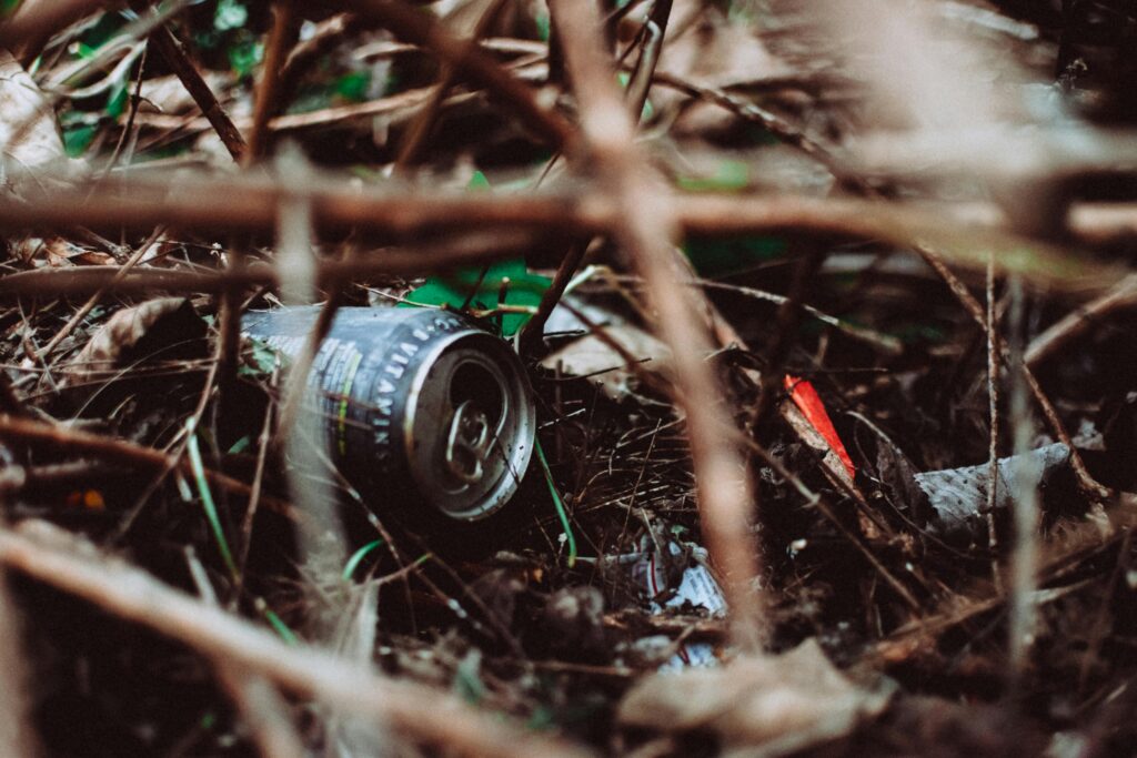 A discarded soda can lies among dry twigs and leaves on a forest floor.